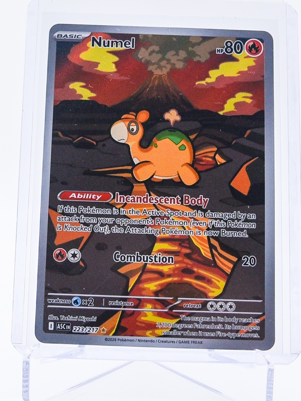 Pokemon Card Numel 223/217 Illustration Rare Holo Ascended Heroes NM